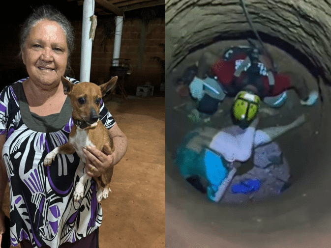 cao-ajuda-bombeiros-a-resgatar-idosa-de-cisterna;-veja-o-video