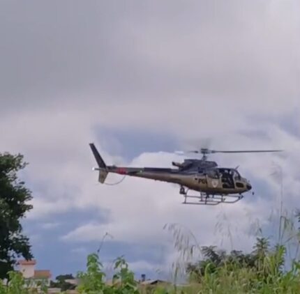 criminoso-rouba-carro,-bate-durante-cerco-e-foge-para-mata-em-divinopolis