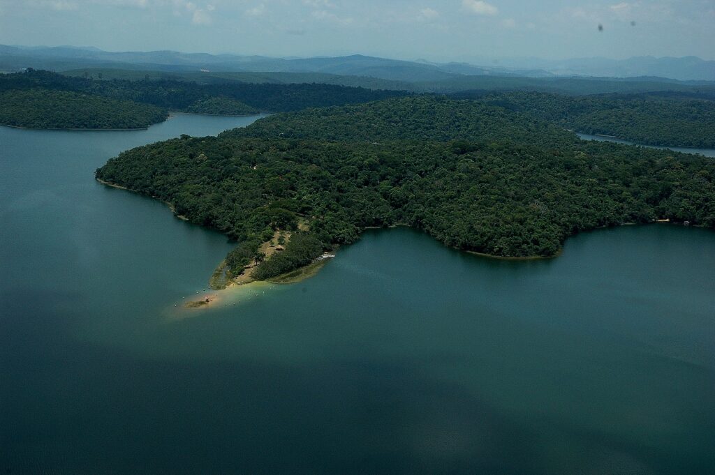 instituto-estadual-de-florestas-cria-grupo-de-trabalho-para-acelerar-metas-da-mata-atlantica-em-minas