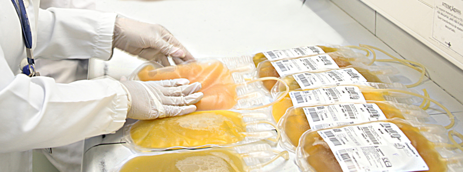 governo-de-minas-amplia-plasmaferese-e-fortalece-o-cuidado-contra-rejeicao-de-orgaos-transplantados 