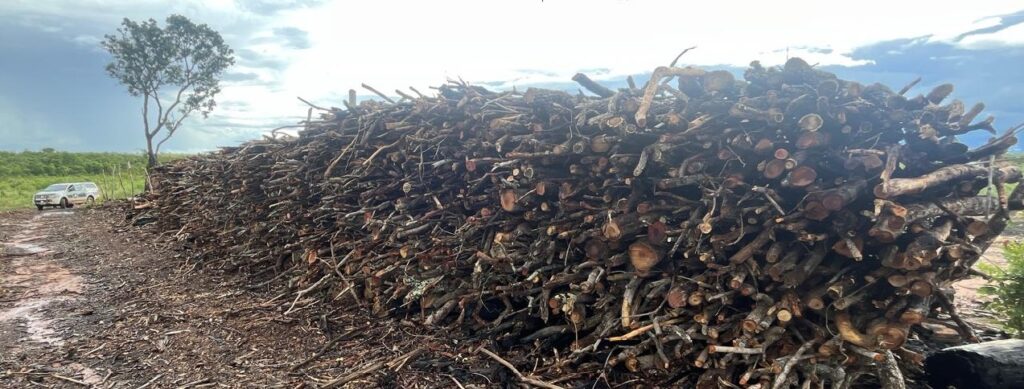 operacao-grande-sertao-iv-combate-desmatamento-ilegal-no-norte-de-minas-e-aplica-mais-de-r$-800-mil-em-multas