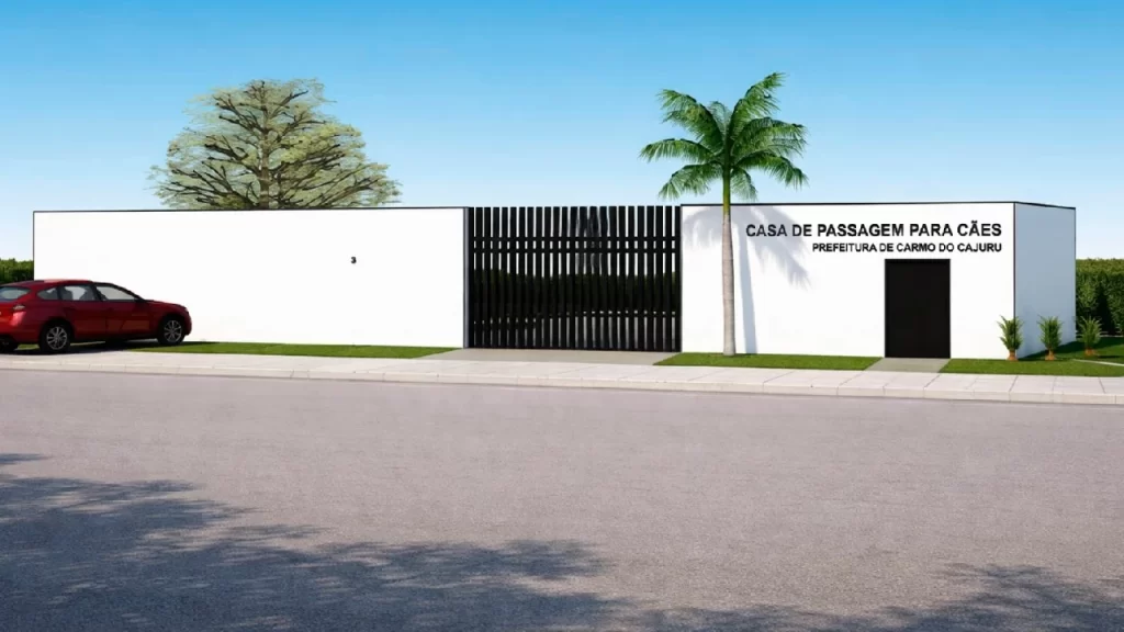 carmo-do-cajuru-inicia-obra-de-casa-de-passagem-para-caes-resgatados