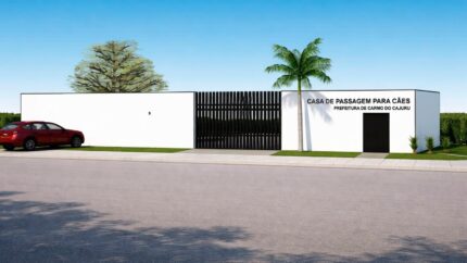 fim-das-ruas?-carmo-do-cajuru-levanta-‘casa-de-passagem’-para-salvar-caes-abandonados