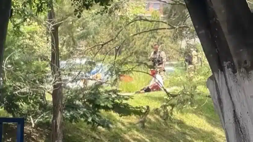 homem-de-49-anos-e-preso-apos-matar-cachorro-a-pauladas-no-bairro-manoel-valinhas-em-divinopolis