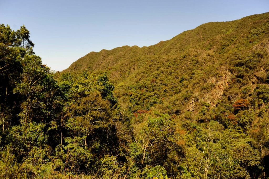 conselho-estadual-de-politica-ambiental-comeca-processo-de-eleicao-para-recomposicao-2026/2028