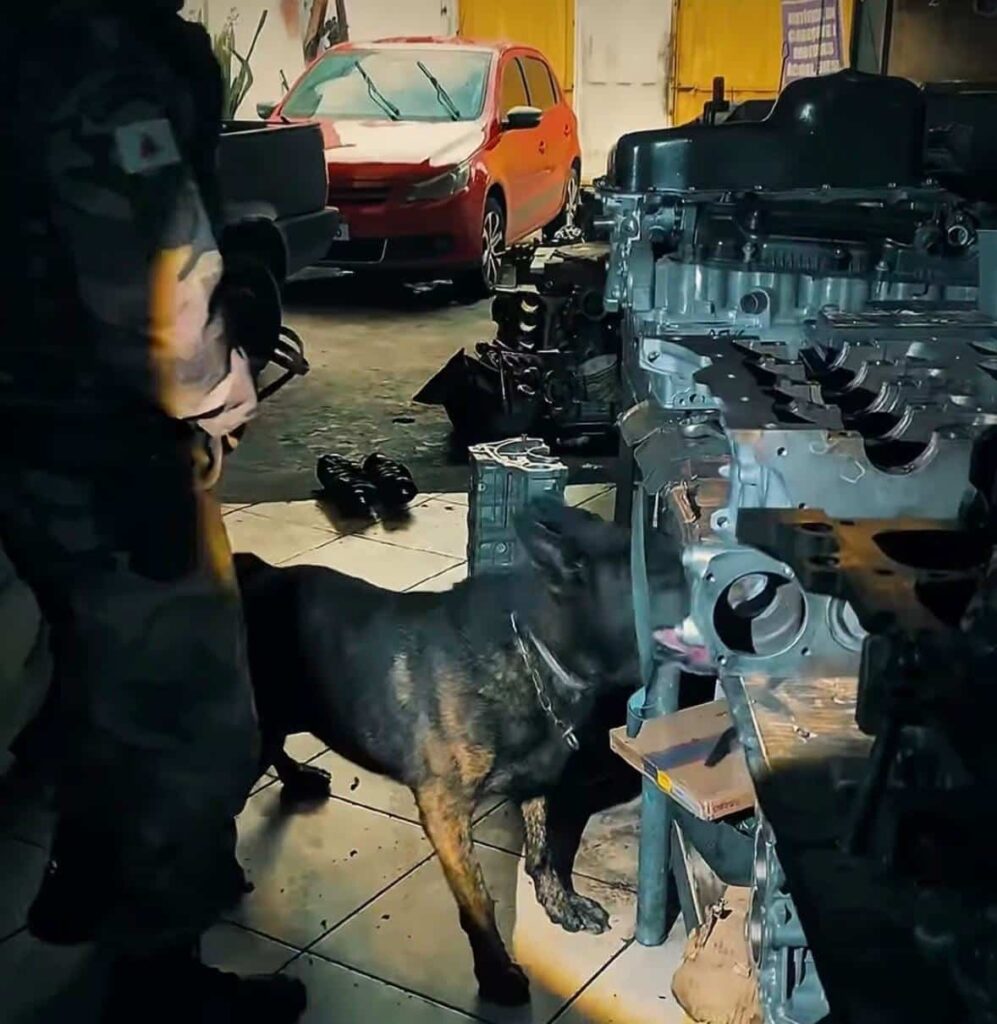 operacao-fecha-batalhao-prende-suspeitos-e-apreende-armas-e-drogas-em-divinopolis-e-carmo-do-cajuru